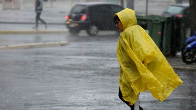 alerta amarillo en la plata por rafagas de viento: ¿como seguira el clima en la ciudad?