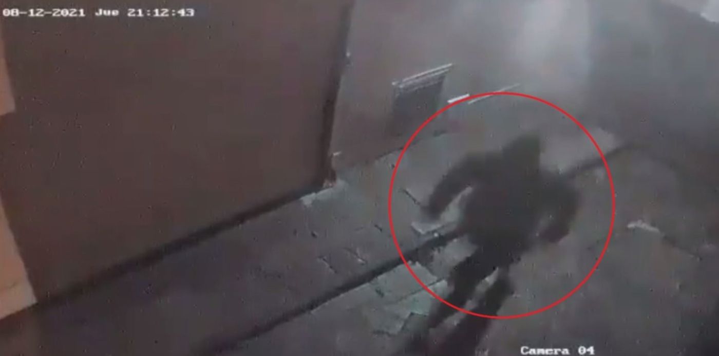 1629230926924.jpg?x=8&y=18&width=1484&height=742&rotate=0&scaleX=1&scaleY=1&ow=1500&oh=822&&cw=1920&ch=950