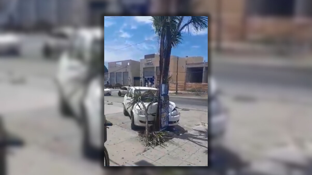 se quedo sin frenos en el cruce de dos avenidas, subio a la vereda y se incrusto contra un arbol