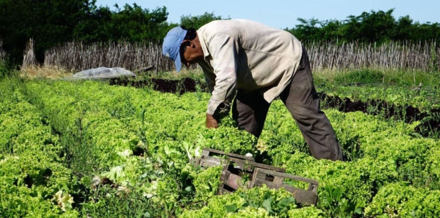 Cordón Frutihortícola