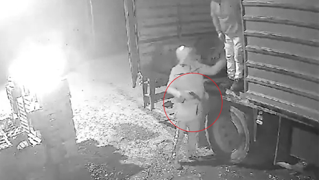 Ladrones sorprendieron a un camionero en Ruta 36 y le robaron $4,5 millones a punta de pistola Ladrones sorprendieron a un camionero en Ruta 36 y le robaron $4,5 millones a punta de pistola
