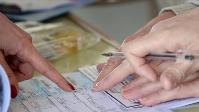 unos 40 mil extranjeros votan en la plata solo para gobernador, intendente y legisladores