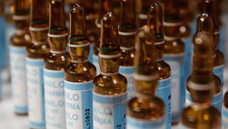 ¿Por qué detuvieron a las dos exfuncionarias de Milei investigadas en la causa del fentanilo contaminado?
