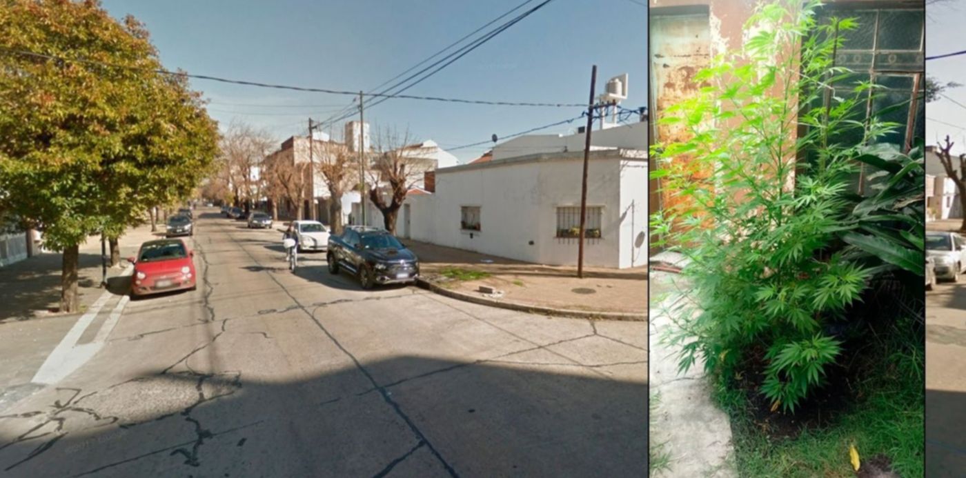 1547834926894.jpg?height=713&scaleX=1&scaleY=1&oh=793&ow=1450&x=10&y=43&width=1427&rotate=0&&cw=1920&ch=950