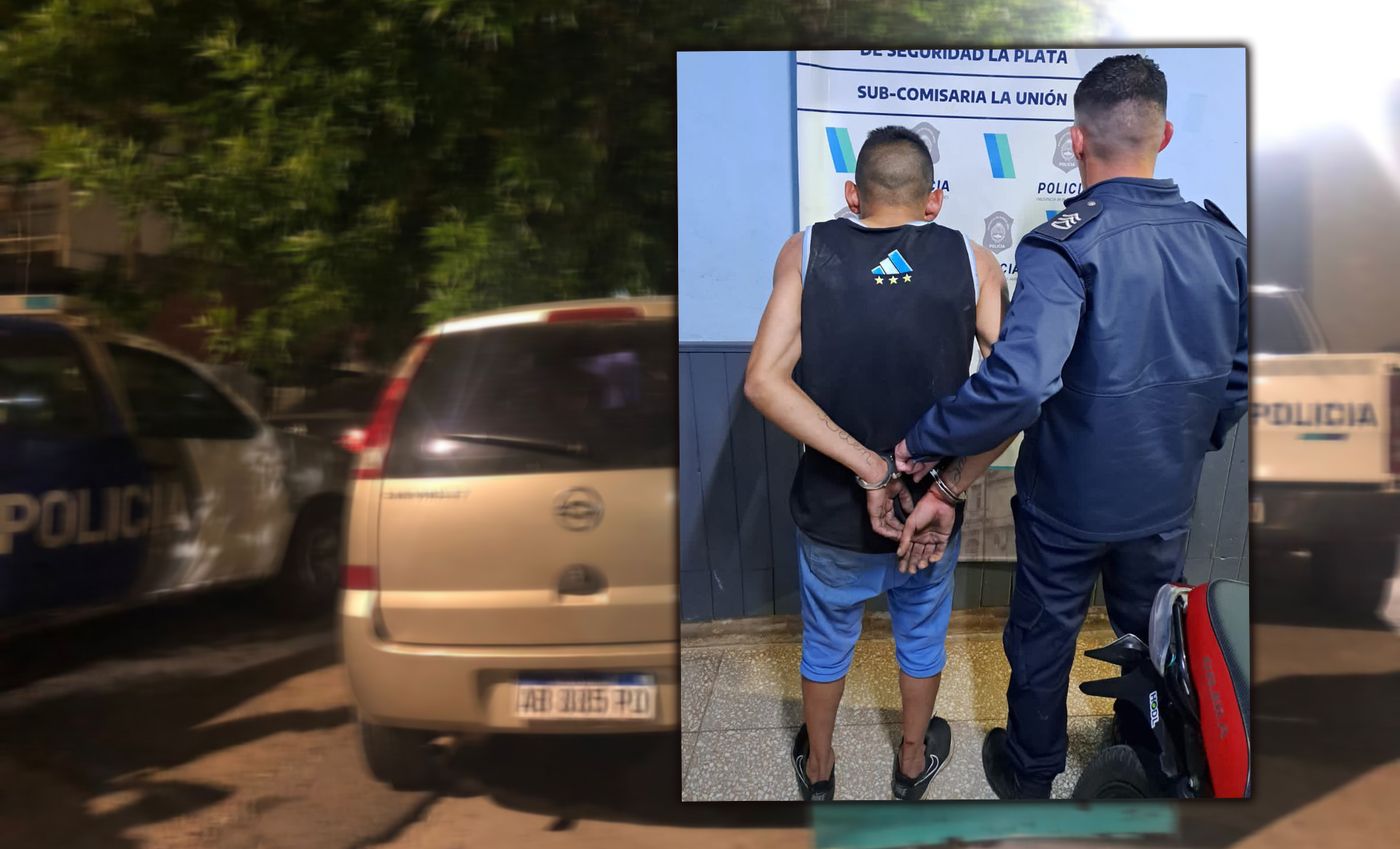 Ladrón mordedor.jpg