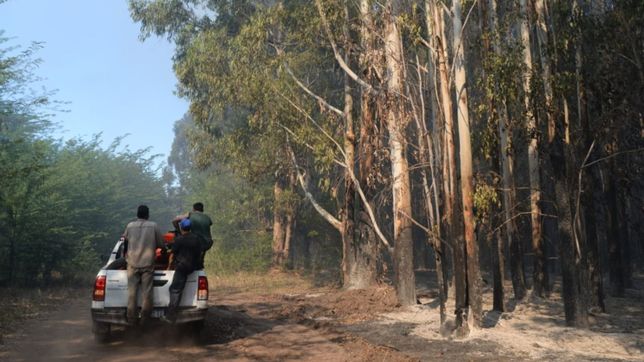 trabajadores de la plata en alerta por el cierre del instituto de agricultura