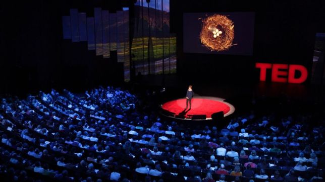 en caida libre, se viene la cuarta edicion de tedx la plata