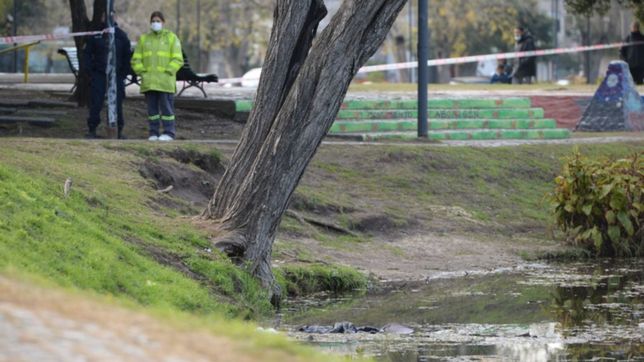 la autopsia confirmo que el hombre hallado en el lago del parque saavedra se ahogo