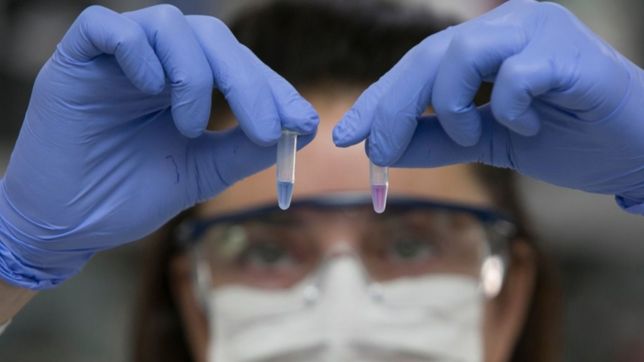 aseguran que el 13% de los contagiados en enero ya habia tenido coronavirus