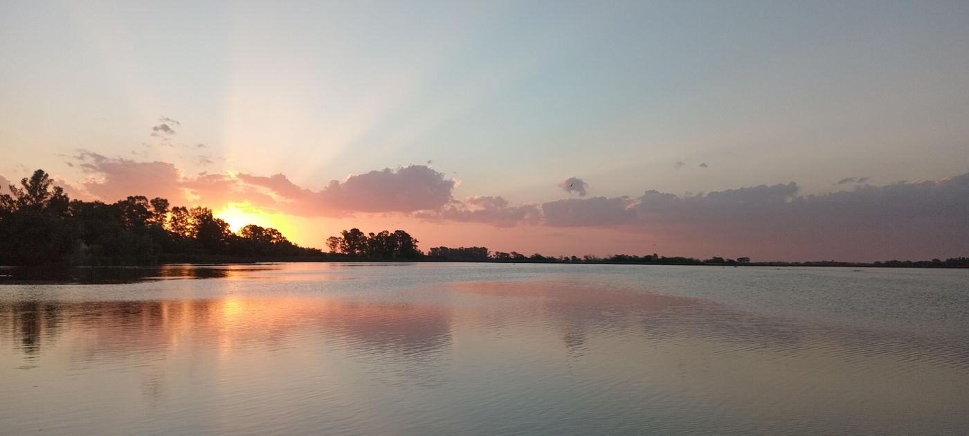 Foto portada Navarro.jpg
