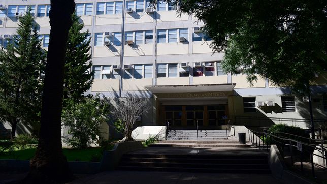 mas del 60% de los extranjeros que ingresaron a la unlp en los ultimos cinco anos eligio estudiar medicina