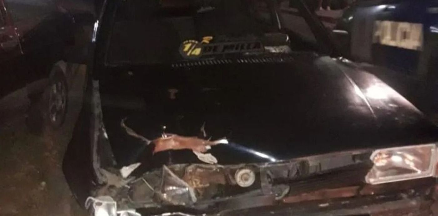 1606736042108.jpg?x=9&y=57&width=961&height=481&rotate=0&scaleX=1&scaleY=1&ow=970&oh=546&&cw=1920&ch=950