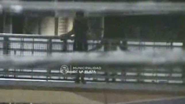 policias salvaron a un chico que queria tirarse de un puente peatonal de camino centenario