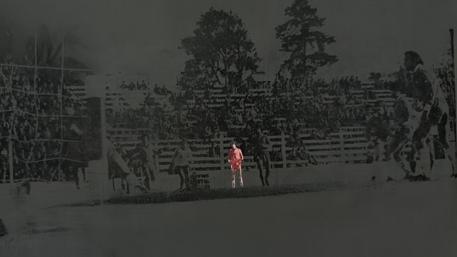 seis historias cortas y sorprendentes para recordar a diego maradona en el bosque