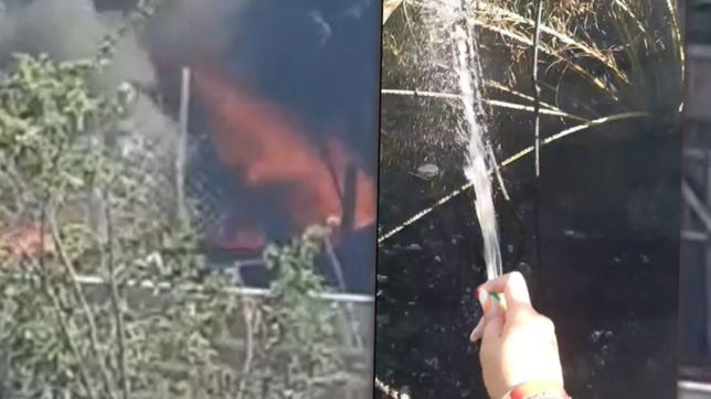 video: la lucha desigual de una vecina con una manguera en un voraz incendio en la plata