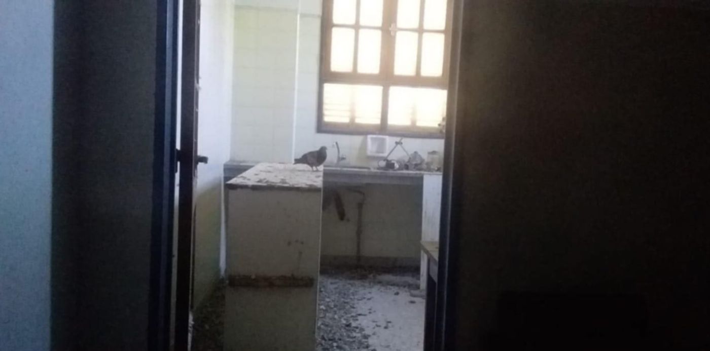 1574891730114.jpg?x=6&y=0&scaleX=1&scaleY=1&ow=1280&width=1244&height=622&rotate=0&oh=622&&cw=1920&ch=950