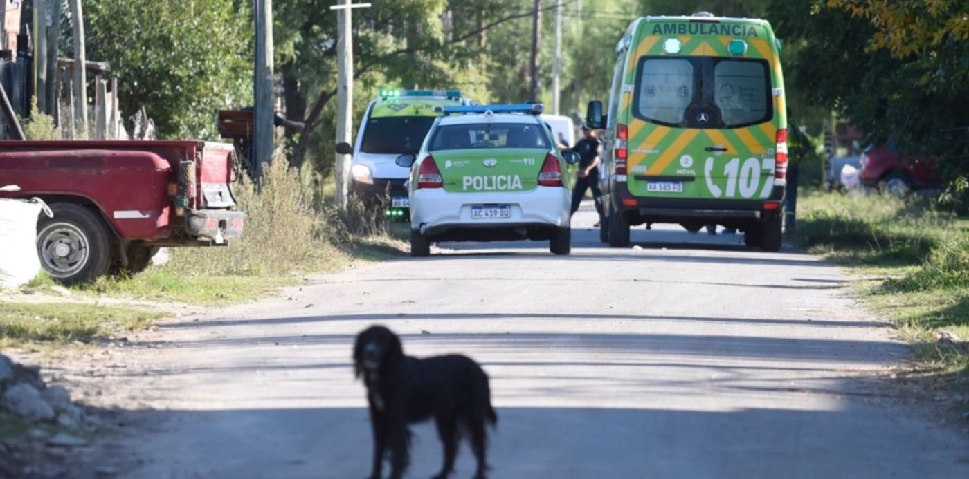 1554581622213.jpg?height=746&rotate=0&scaleX=1&oh=997&x=4&y=185&width=1492&scaleY=1&ow=1500&&cw=1920&ch=950