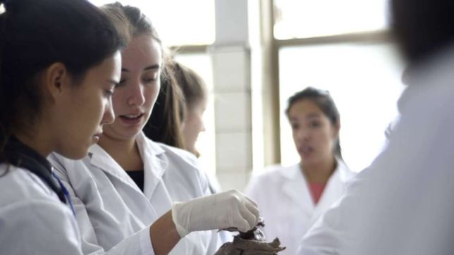 buscan que en la plata sea obligatoria la catedra para formar medicos intensivistas