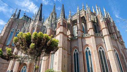 La Plata eliminó a Notre Dame y avanza en el Mundial de Catedrales
