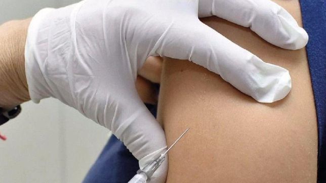 tras la inundacion, la municipalidad lanzo un operativo sanitario en villa elvira