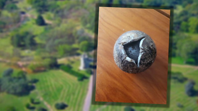 hacian tareas de limpieza en el parque pereyra iraola y hallaron un curioso tesoro