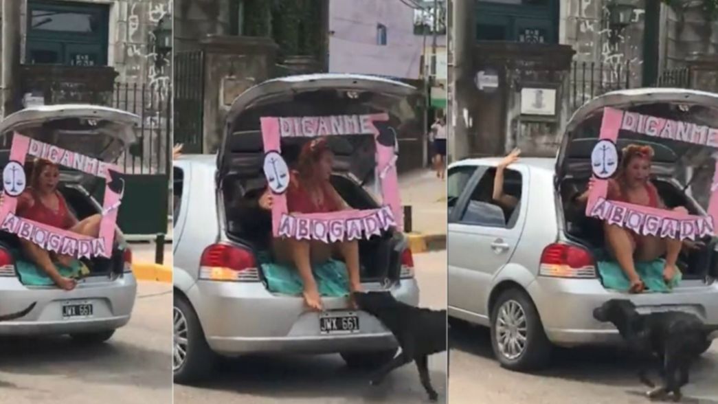 VIDEO: La mordió un perro mientras festejaba que se había recibido y se hizo viral