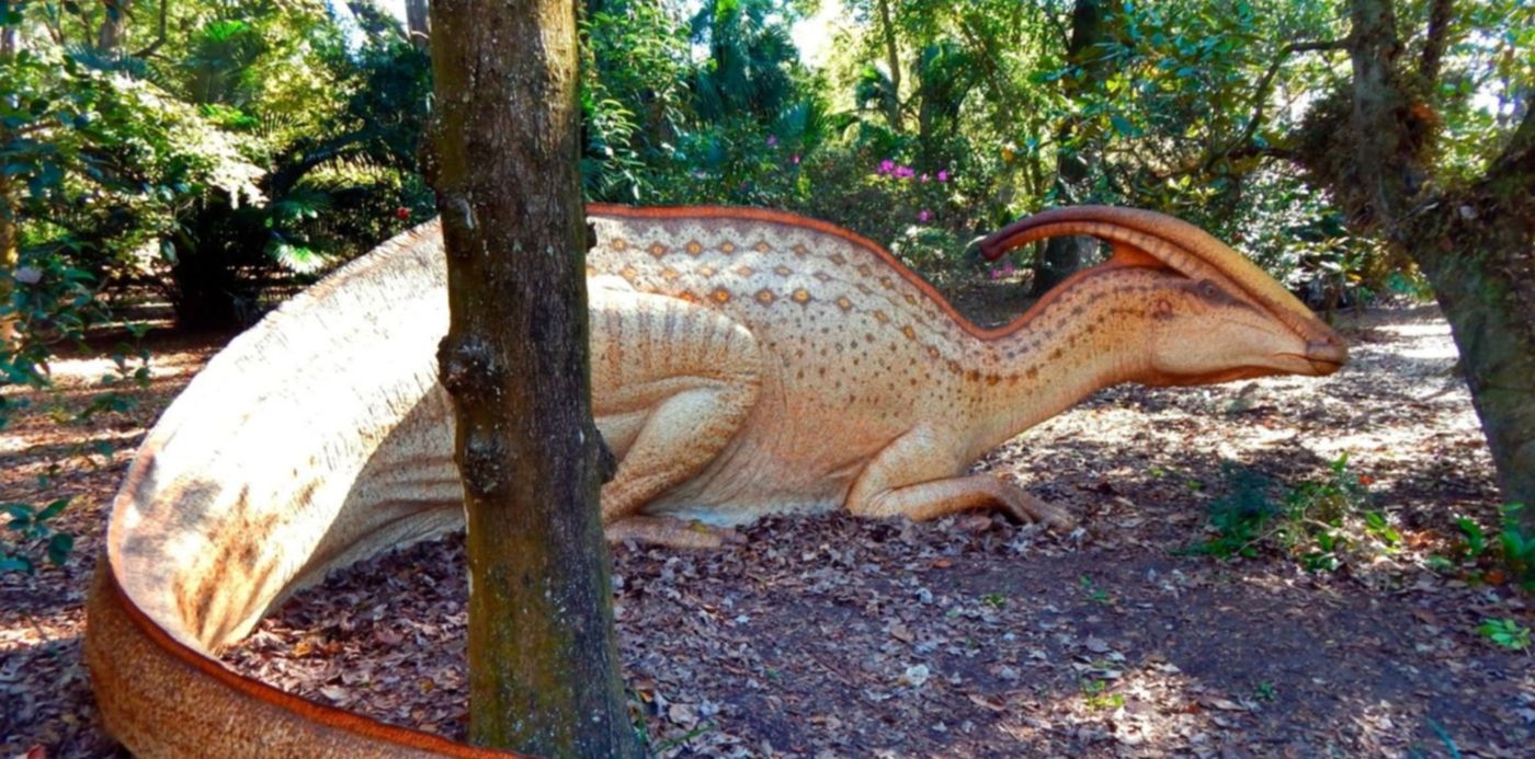 1673480588659.jpg?x=11&y=128&width=1478&height=738&rotate=0&scaleX=1&scaleY=1&ow=1500&oh=1125&&cw=1920&ch=950