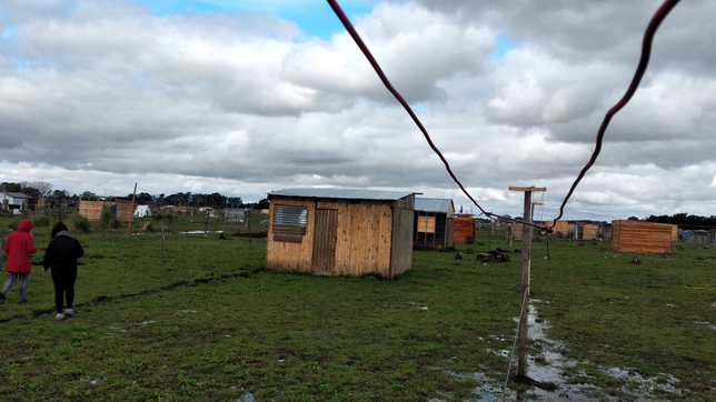 revelan que la mitad de los chicos analizados en barrios vulnerables tiene parasitos intestinales