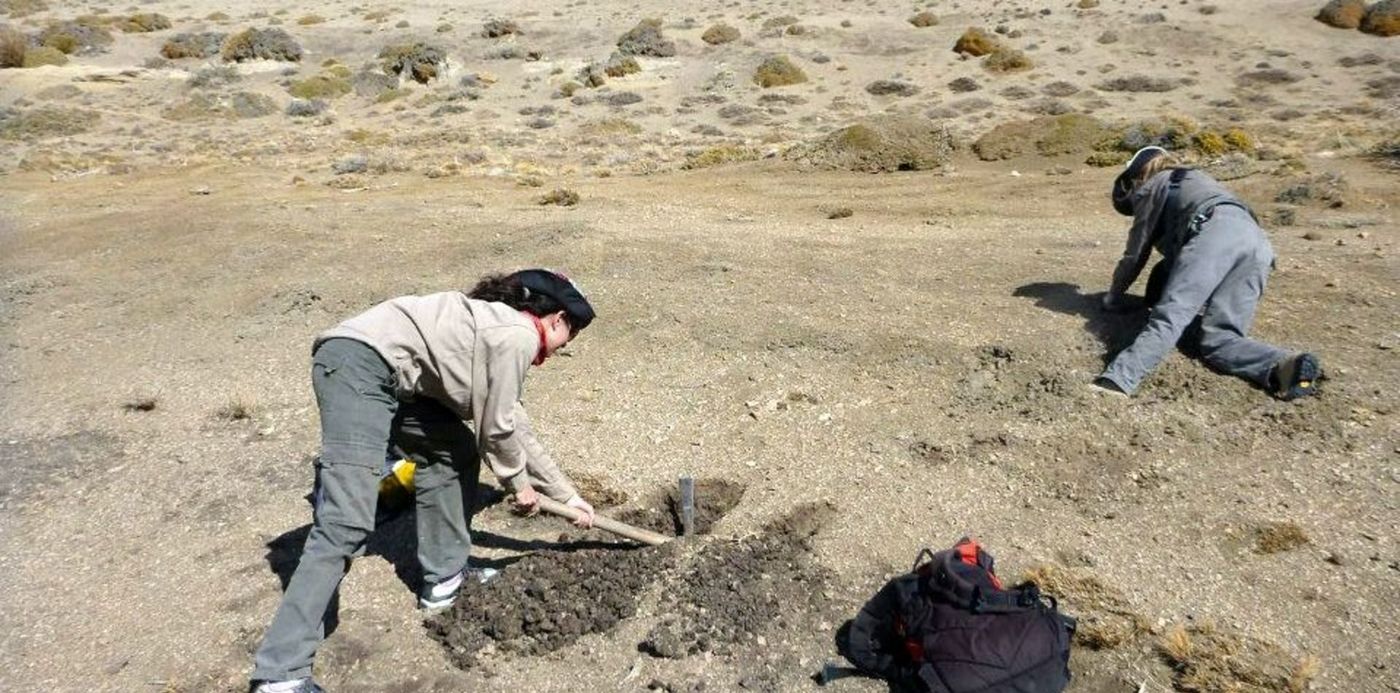 1554734259465.jpg?&cw=1920&ch=950