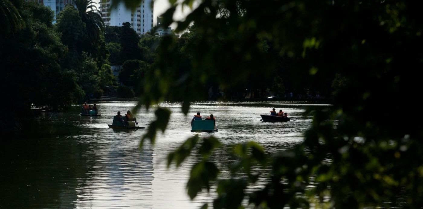 1540247880470.jpg?height=744&rotate=0&oh=984&x=6&width=1489&scaleX=1&scaleY=1&ow=1500&y=31&&cw=1920&ch=950