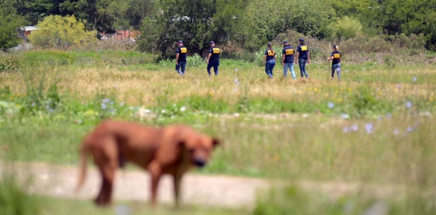 1578343589540.jpg?x=5&y=201&width=1490&height=745&rotate=0&scaleX=1&scaleY=1&ow=1500&oh=1009&&cw=1920&ch=950