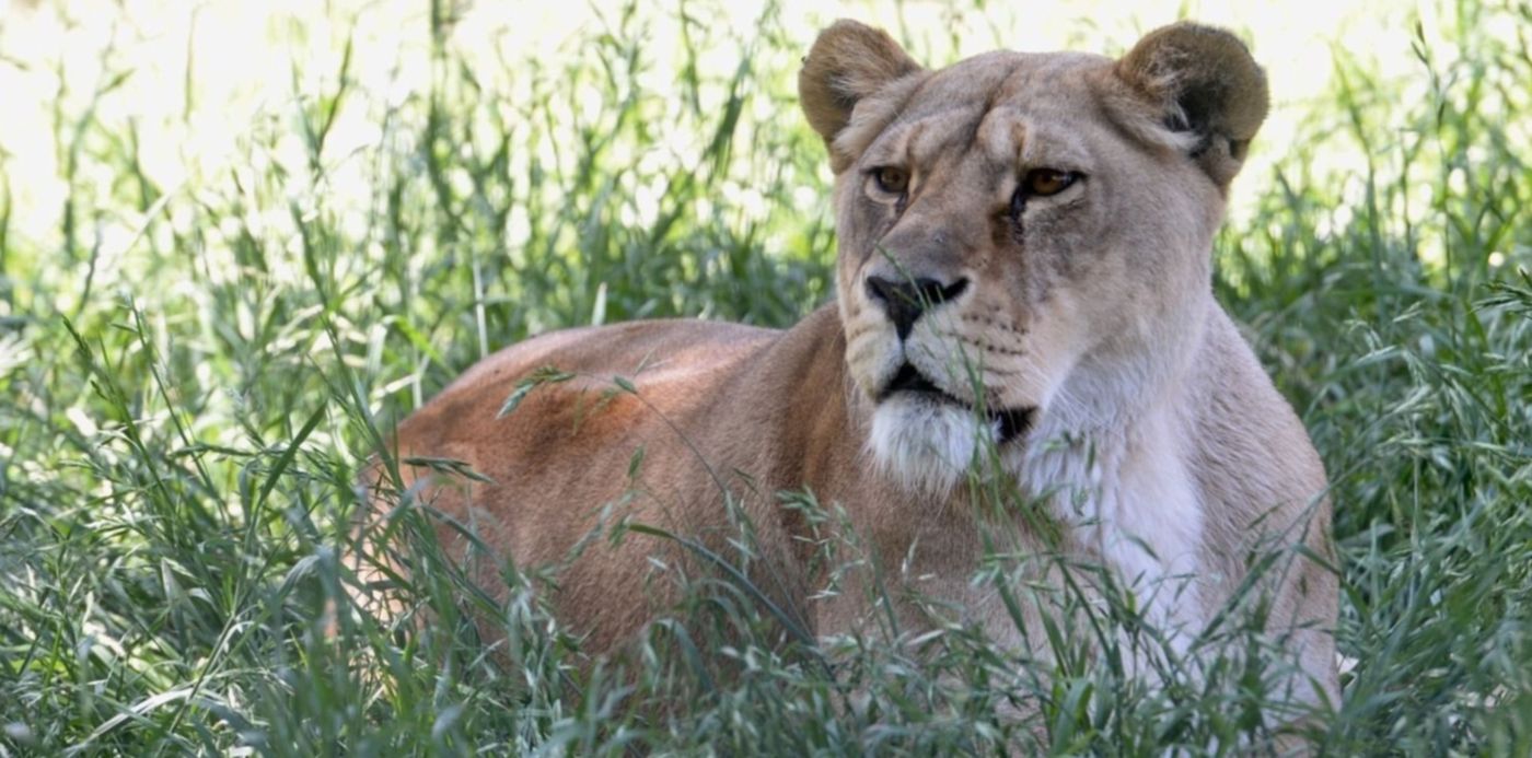 1544618345779.jpg?width=1484&height=742&rotate=0&oh=967&x=8&y=154&scaleX=1&scaleY=1&ow=1500&&cw=1920&ch=950