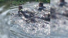 tension y susto en la region: un hombre intento quitarse la vida y se tiro a un canal
