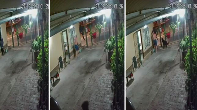 video: un hombre descubrio a un ladron en su casa y lo golpeo hasta cansarse