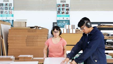 Escuela de Oficios de la UNLP: ¿cómo anotarse a los cursos gratuitos?