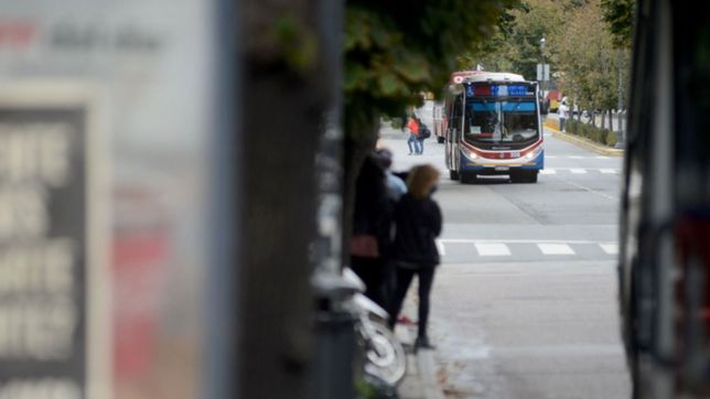 los micros y trenes vuelven a funcionar con sus frecuencias habituales