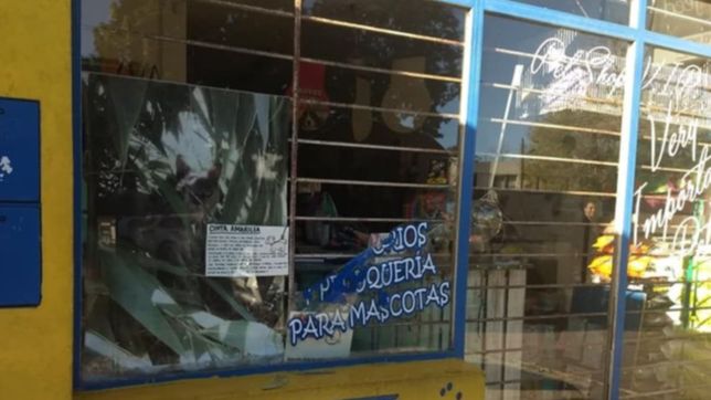 destrozaron el frente de una veterinaria de el mondongo y entraron a robar