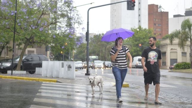 calor y lluvias a la vista, ¿como seguira el clima en la plata el resto de la semana?