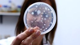 la provincia financiara once proyectos de innovacion de la unlp para asistir a las pymes la provincia financiara once proyectos de innovacion de la unlp para asistir a las pymes