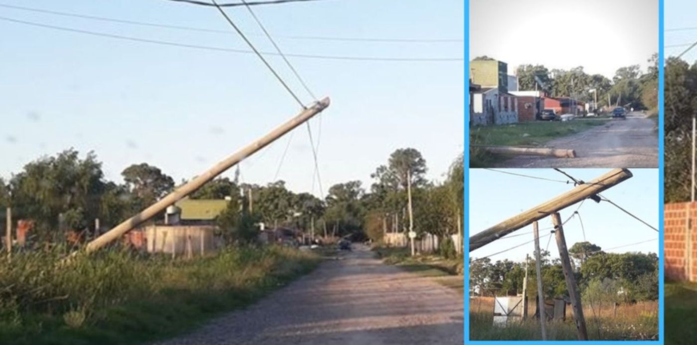 1551971639597.jpg?rotate=0&scaleX=1&scaleY=1&ow=1500&oh=843&x=7&y=63&width=1487&height=744&&cw=1920&ch=950