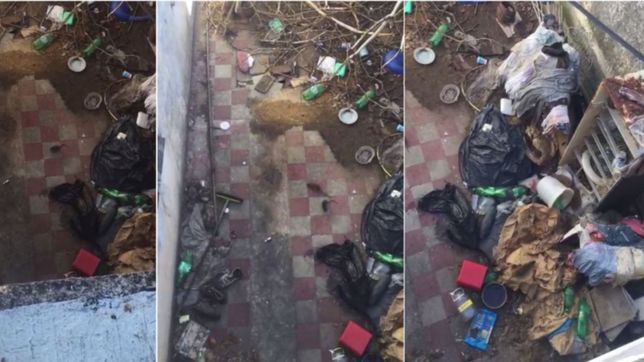 video: alerta en el mondongo por un vecino que cria ratas en pleno brote de hantavirus