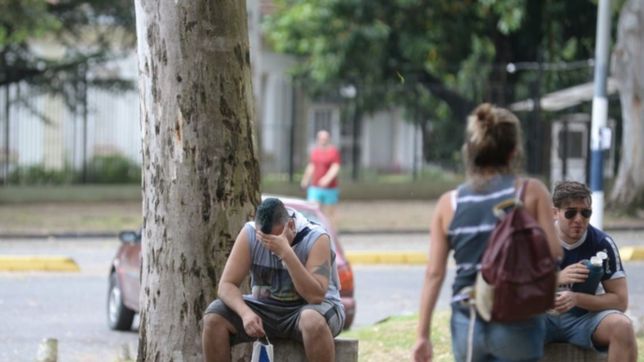 dolor y desconsuelo en el bosque: los hinchas del lobo se juntan para despedir a maradona