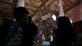 asi se vive en la plata una nueva edicion de museos a la luz de la luna asi se vive en la plata una nueva edicion de museos a la luz de la luna