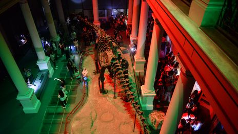 La Plata tendrá un rondín especial con ticket único para la Noche de los Museos La Plata tendrá un rondín especial con ticket único para la Noche de los Museos