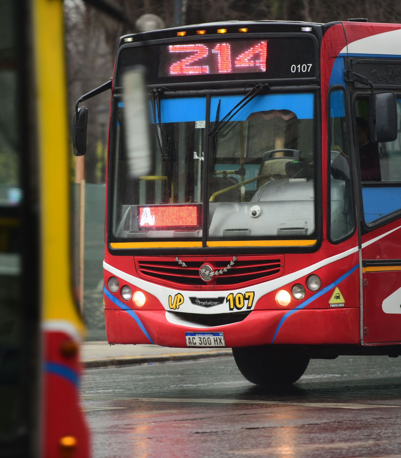 Micros colectivos (20).JPG