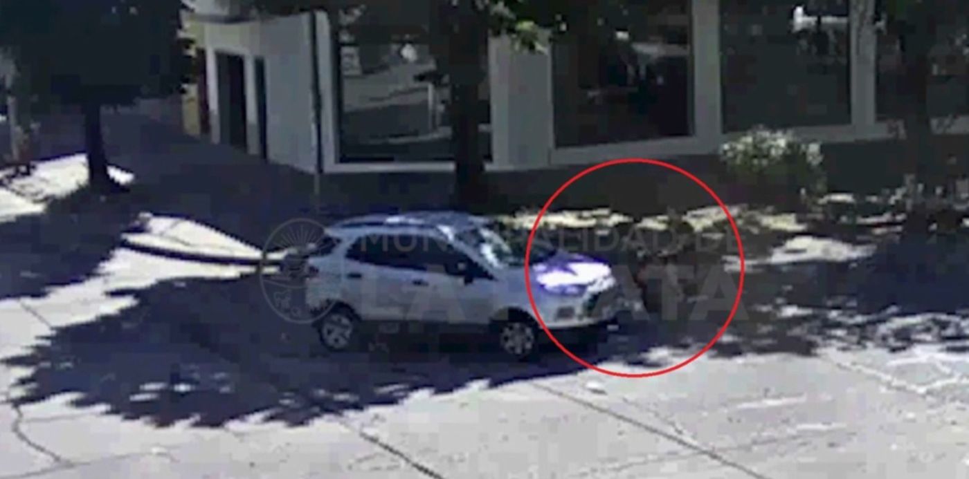 1643813720394.jpg?x=0&y=0&width=1438&height=719&rotate=0&scaleX=1&scaleY=1&ow=1500&oh=719&&cw=1920&ch=950