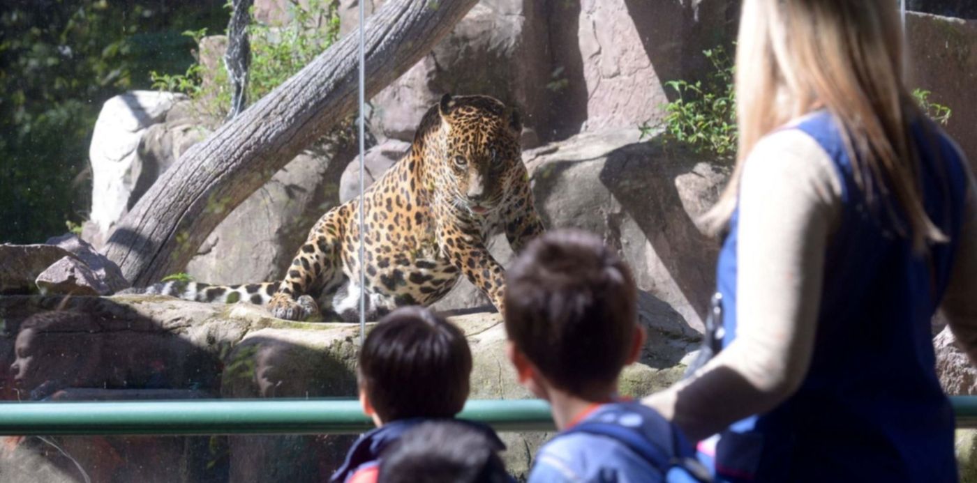 Reapertura del Bioparque de La Plata