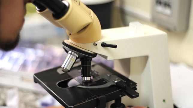 financiaran proyectos para crear vacunas argentinas contra el covid-19