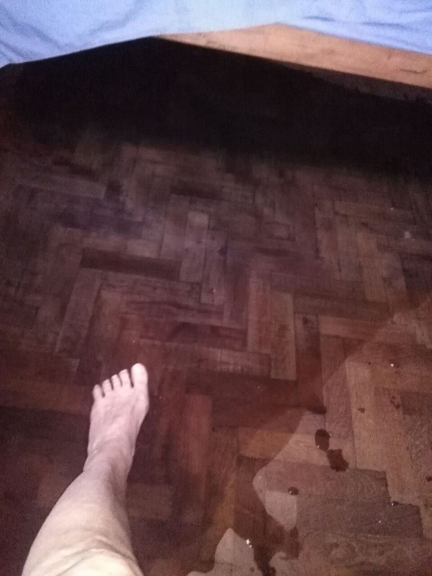 1532608684060.jpeg