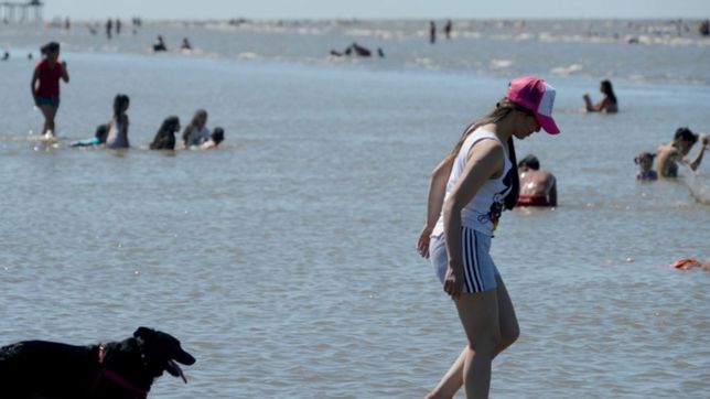 conmocion en ensenada: se metio al rio, tuvo un ataque de epilepsia y casi se ahoga